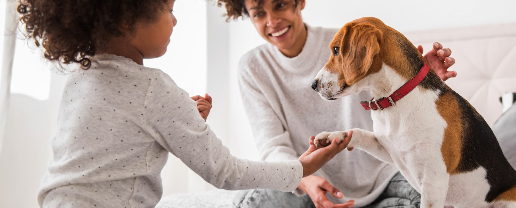 Quality Veterinary Care, Napanee