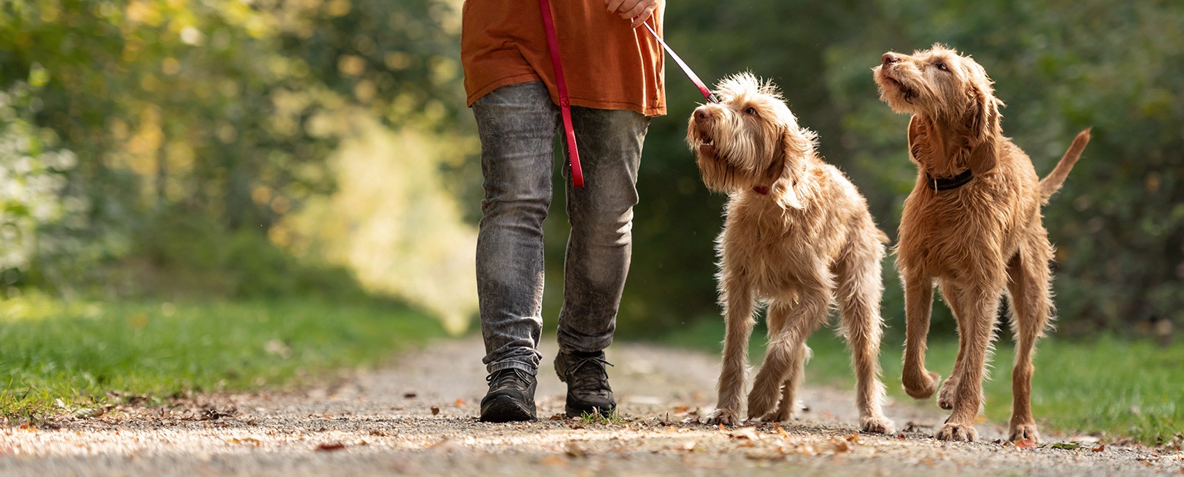 65th Anniversary Celebration, Napanee