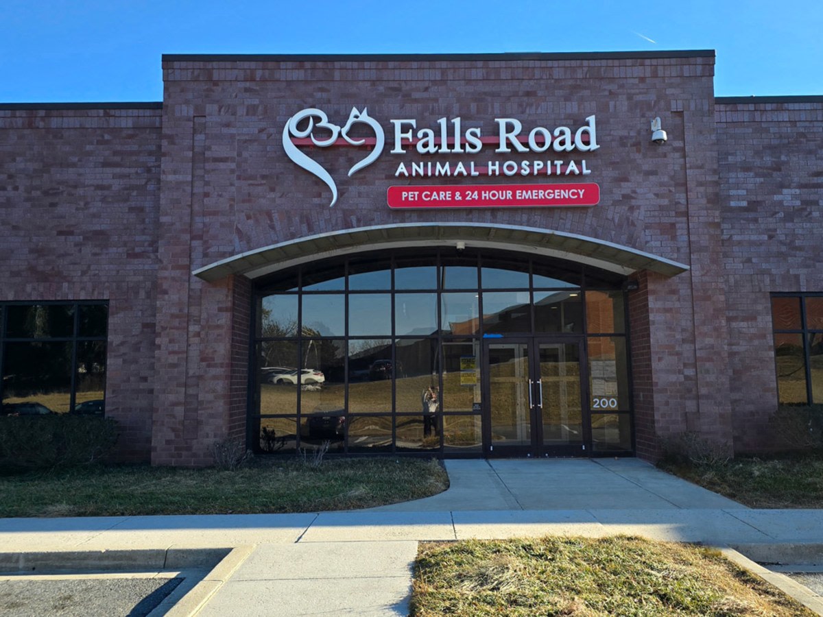 Open 7 Days a Week in Baltimore