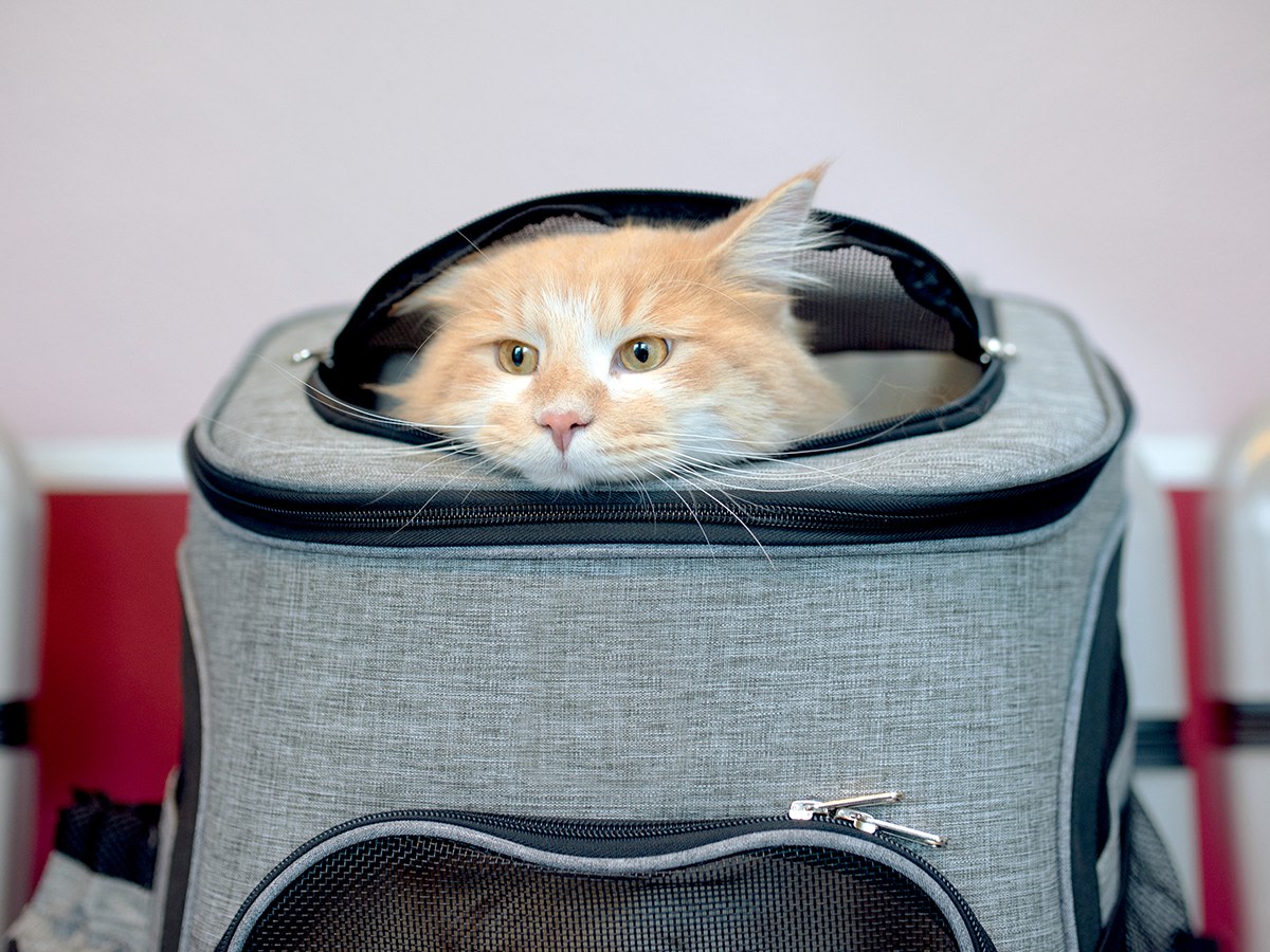 Open 7 Days a Week in Baltimore