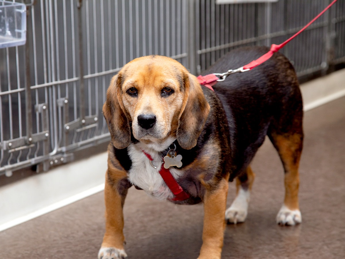 Open 7 Days a Week in Baltimore