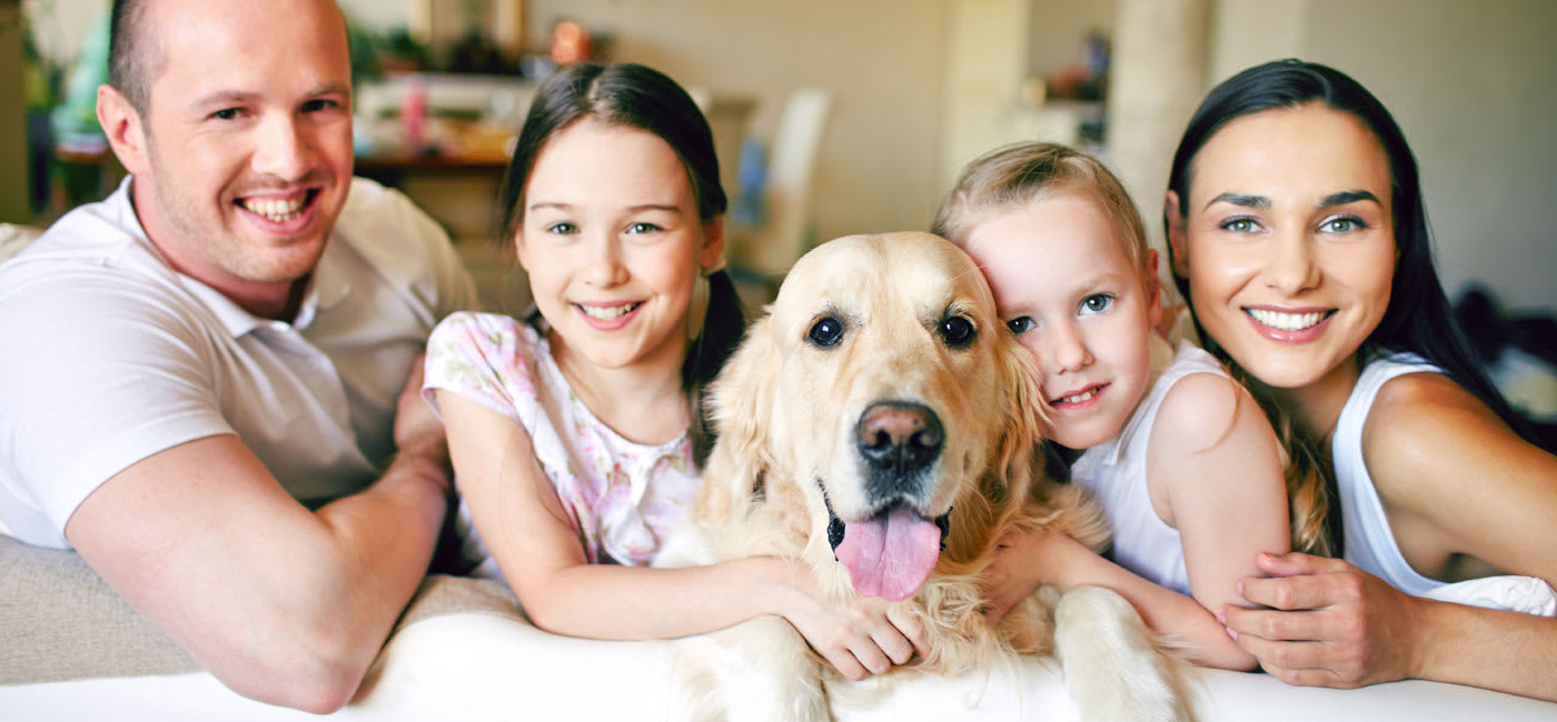 Welcoming New Patients, Ottawa Dentists