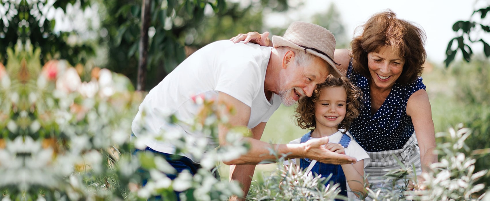 Your Families Dentist, Drumheller