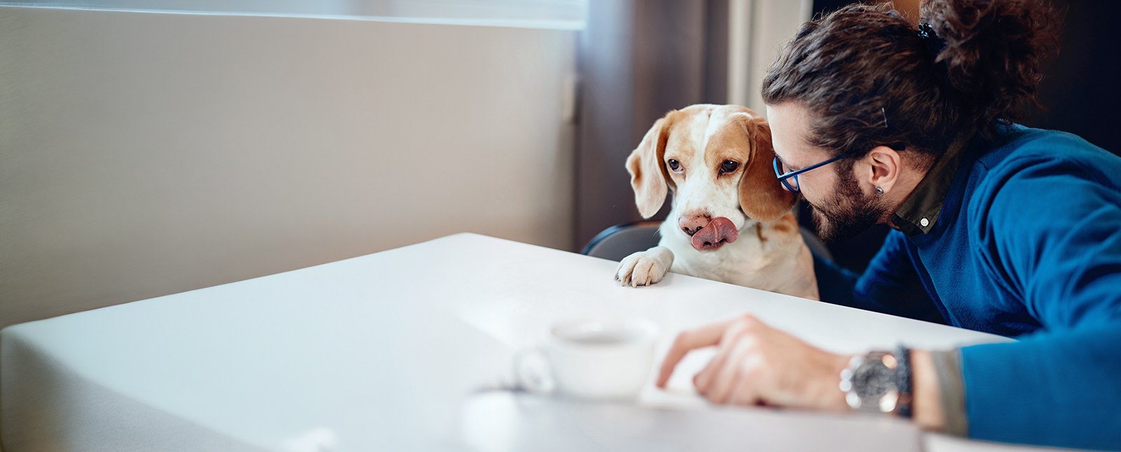Meet Our Veterinarians, Tucson
