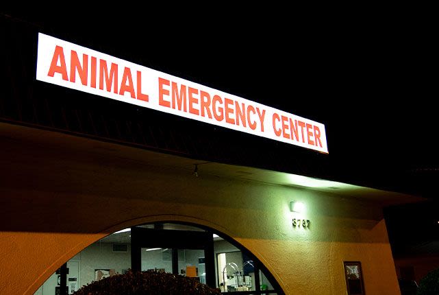 Animal Emergency Center in Memphis