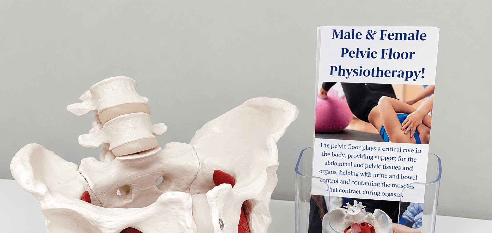 Comprehensive Women/Men/Kids Pelvic Floor Health